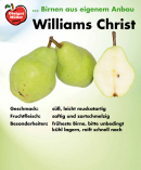 williams-christ-schild
